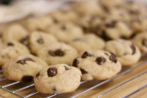 chocolate chip cookies