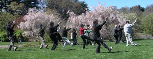 tai chi