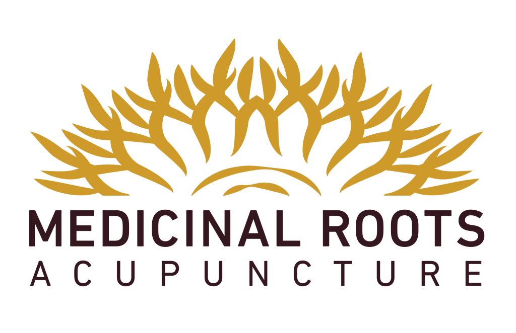 Medicinal Roots logo COLOR 300px 1 scaled 1024x662