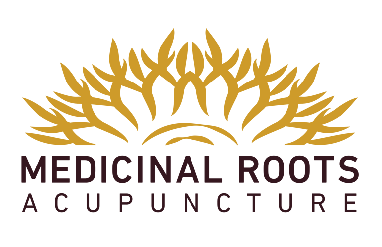 Medicinal Roots logo COLOR 300px 1 scaled 768x497